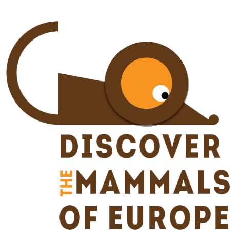 Discover the mammals of Europe
