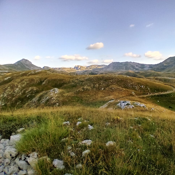 Batloggers for Wildlife Montenegro